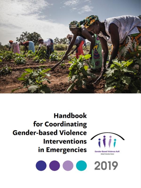 GBV Handbook cover